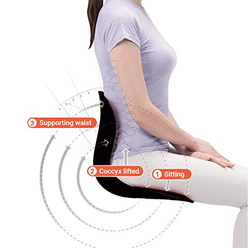Curble Chair Wider (Black) / Back Brace, Posture Correction & Lumbar Support. Sit! The Back