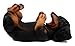 Ebros Black and Tan Sausage Wiener Dachshund Dog Wine Bottle Holder Dog Wine Caddy Figurine 11