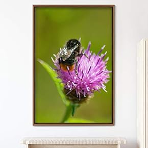 signwin Framed Canvas Wall Art Butterfly Expressive Farmhouse/Country...