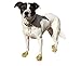 Jawz for Pawz Dog Boots, Medium