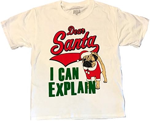 Christmas - Christmas Youth - Christmas Boy - TShirt - T-Shirt - TEES - Fun Christmas Clothes (Youth M (10-12), Pug-Dear Santa I Can Explain)