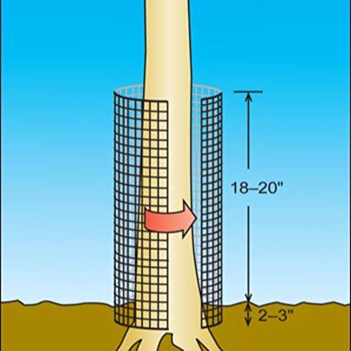 Hardware Cloth For Moles at Louis Fulk blog