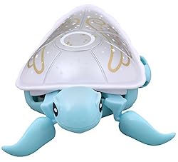 Little Live Pets Turtle - Pearly