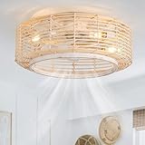 hummingbird Boho Ceiling Fans with Lights, 20 Inch