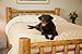 Mambe 100% Waterproof Pet Blanket (Large 58