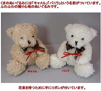 Amazon くまのぬいぐるみ とプリザーブドフラワー カーネーション ありがとうの花束 母の日ギフト バニラ プリザーブドフラワー オンライン通販