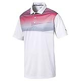 Puma Golf Men's 2018 PWR Cool Refraction Polo, X-Large, Pomegranate