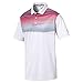 PUMA Men's 577406 Pwr Cool Refraction Polo Shirt, Small, Pomegranate