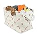 Bone Dry Pet Storage Collection Paw and Bone Print, Small Rectangle, 14x8x9