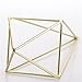 NCYP Tillandsia Air Plants Holder Freestanding Hanging Matte Golden Quadrilateral Pyramid Teardrop Shape Geometric Flowers Rack for Wedding Wall Decor 10 inch (No Plants)