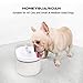 HoneyGuaridan Pet Drinking Water Fountain, Super Quiet Automatic Cat Water Dispenser with 2 Replacement Filters for Dogs, Cats, Birds and Small Animals