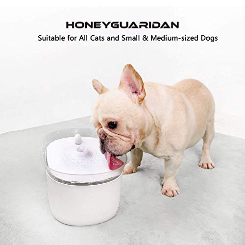 HoneyGuaridan Pet Drinking Water Fountain, Super Quiet Automatic Cat Water Dispenser with Replacement Filters for Dogs, Cats, Birds and Small Animals