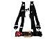 Pro Armor A114220 P151100 Black 4-Point Harness 2