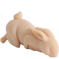 Amazon.com: 1.1LB Realistic Cute Rabbit Male Masturbator with ...