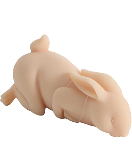 chicken sex doll TIKATON Chicken Flavored Dog Chew Toy, Medium
