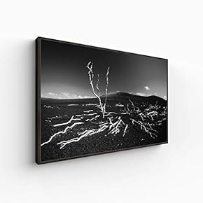 Canvas Wall Art for Living Room, Bedroom Monochrome Landscape Framed Canvas Prints for Home Decoration Ready to Hang - 16x24 inches