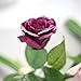 Gillberry 7 Heads Artificial Silk Fake Flowers Leaf Rose Wedding Floral Decor Bouquet (Pink)