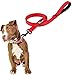 Tough Dog Leash, Extra Heavy Duty, Thick 3mm Durable Nylon, 6ft Long, 1