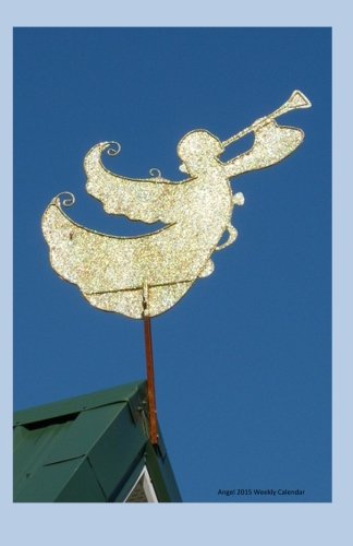 Angel 2015 Weekly Calendar: 2015 weekly engagement calendar with a cover photo of the angel weather vane at Ralphie's Retreat - A pawsitive alternative for cats with feline leukemia.