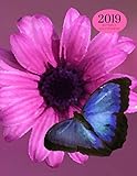 2019 Butterfly Daily Planner: Academic Hourly Organizer In 15 Minute Interval; Appointment Calendar With Address Book & Note Section; Monthly & Weekly Goals Journal With Quotes by