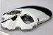 KitMax (TM) Pack of 2 Sets 3D Skull Badge Auto Car Truck Laptop iPad Window Wall Motorcycle Decor Decal Sticker (Silver)