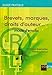 brevets, marques, droits d'auteur... mode d'emploi (GUIDE PRATIQUE) by 