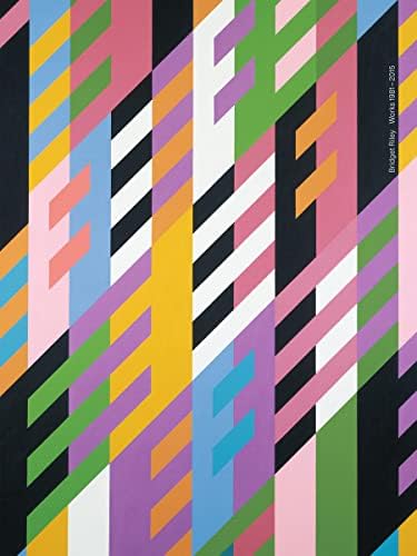 Bridget Riley: Moorhouse, Paul: 9781854374929: Amazon.com: Books