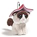 Gund Grumpy Cat Surprise Plush Blind Box Series #1 Plus