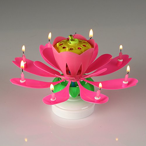 Amazing Birthday Candle Flower Cool Singing Musical Candles