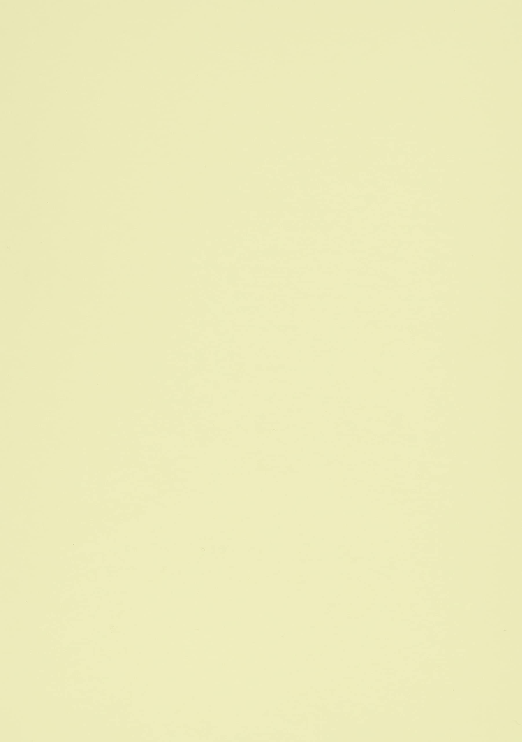 Brunnen 102240000 Index Card (A4 Plain, 100 Pieces A5 unliniert Yellow