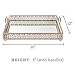 Giovanni Champagne Mirror Top Serving Tray, Rectangular Metal Ornate Accent Vanity Food Decorative Display Platter