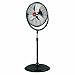 OEMTOOLS 24872 20 Inch High-Velocity Orbital Pedestal, Old Model, Commercial Indoor, Fan for Bedroom, Garage, Warehouse, and Workshop, 19.99 Inch, Black