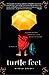 Turtle Feet: The Making and Unmaking of a Buddhist Monk by 