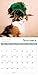 Cats In Hats 2016 Wall Calendar