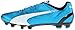 PUMA Men's Evospeed 4.3 Firm-Ground Soccer Shoe