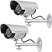 WALI Dummy Fake Camera, Surveillance Security CCTV Dome Camera, Indoor Outdoor Cameras, with One LED Light, Security Alert Sticker Decals (TC-S2), 2 Packs, Silver