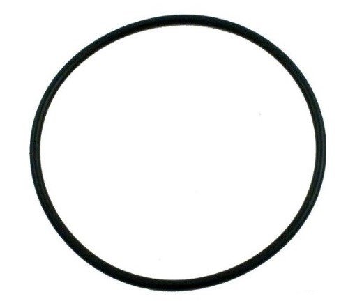 Pentair-354533-ORing-Lid--Housing