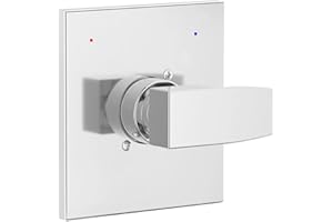 GUOLAIBA Replacement for Delta 13/14 Series Shower Valve Trim Kit, Shower Handle Set for Delta R10000 Valves (Cartridge and Valve Not Included), Chrome