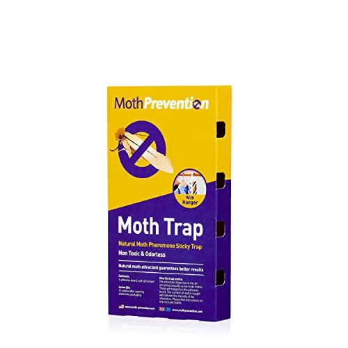 [- CLOTHES MOTH TRAPS 3-Pack from Moth-Prevention - Best Catch-Rate for Clothes Moths on the Market