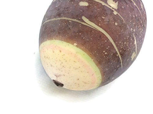 perfect2desire Taro Root Fake Food Fruit Artificial Lifelike Simulation Faux Fake Fruit Potatoes Fake Vegetable