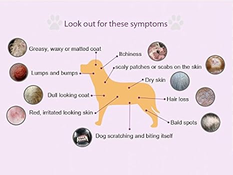 antifungal dog shampoo uk