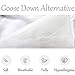 Zingsleep Goose Down Alternative Comforter （Queen 90 x 90 Inch）,Ultra Soft Brushed Microfiber， Quilt with Corner Tab for All Season Hypoallergenic Plush Mircofiber Comforter Duvet Insert