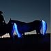 Flytianmy 100CM Horse Tail USB Lights Chargeable LED Horse Harness Equestrian Outdoor Sports The Lights Horse Tail Blue