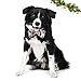 Christmas Bow Tie Dog Collar, Adjustable Dog Cat Collar and Bow Tie Durable Buckle Light Collar for Dogs Cats Pets Soft and Comfortable (Medium)