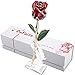 DEFAITH 24K Gold Dipped Real Rose Gifts, Great Wedding Anniversary Valentines Day Love Gift for Her Wife Girlfriend Spouse, with Stand (Red Original)