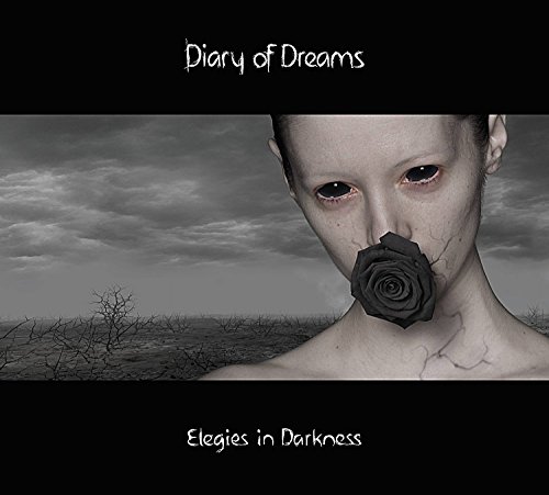 Diary Of Dreams - A Dark Embrace Lyrics - Zortam Music