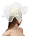 Urban CoCo Women's Elegant Flower Feather and Veil Fascinator Cocktail Party Hair Clip Hat (# 5 Beige)