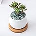 Jyukan White Ceramic Succulent Plant Pots, 2.4 Inch Small Succulent Cactus Planter with Drainage Hole, Bamboo Tray, Set of 6