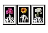 Daisy Flowers Zebra Stripes Vase Posters For Wall Art Decor Home Decorative Floral Paintings Printed On Canvas 3 Piece Black Frame With White Matte Still Life Artwork Print Pictures For Living Room