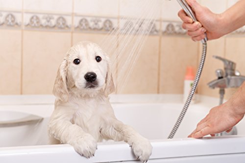 PET CARE Sciences Puppy Shampoo Gentle Sensitive Tearless Coconut Oil, Oatmeal, Aloe & Palm